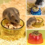 Small Animals Food & Water Bowl Set - 3pcs, Dwarf Hamster & Mice Feeder Bowl with Water Feeder Container