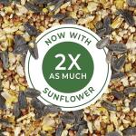 Kaytee Wild Bird Food Basic Seed Blend, 5 lb