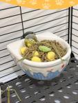Niwaes Chinchilla Food Bowl Ceramic Guinea Pig Cage Feeder Hanging Bunny Food Dish Small Animal Feeding Bowls for Syrian Hamster Ferret Gerbils (Blue)