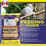 Hagen Pigeon & Dove Seed, Original Formula Bird Food, 6 lb Bag – Nutritionally Complete Seed Mix with Vitamins & Minerals – Wild & Captive Bird Diet – Insect-Resistant Air-Tight Packaging