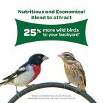 Kaytee Wild Bird Food Basic Seed Blend, 5 lb
