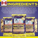 Hagen Pigeon & Dove Seed, Original Formula Bird Food, 6 lb Bag – Nutritionally Complete Seed Mix with Vitamins & Minerals – Wild & Captive Bird Diet – Insect-Resistant Air-Tight Packaging