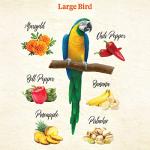 Kaytee Food From The Wild Natural Snack Food Treats For Pet Birds, 3 oz.