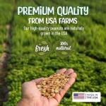 Sneaky Mango Premium Quality Raw Out of Shell Peanuts - 1 Pound - Shelled Peanuts for Birds – Wildlife Quality - Food for Squirrels, Deer, Birds, and Other Wildlife Animals – Grown in The USA