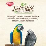 Kaytee Food From The Wild Natural Snack Food Treats For Pet Birds, 3 oz.