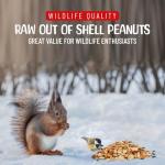 Sneaky Mango Premium Quality Raw Out of Shell Peanuts - 1 Pound - Shelled Peanuts for Birds – Wildlife Quality - Food for Squirrels, Deer, Birds, and Other Wildlife Animals – Grown in The USA