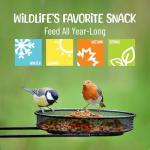 Sneaky Mango Premium Quality Raw Out of Shell Peanuts - 1 Pound - Shelled Peanuts for Birds – Wildlife Quality - Food for Squirrels, Deer, Birds, and Other Wildlife Animals – Grown in The USA
