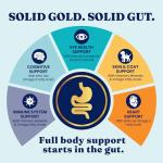 Solid Gold Freeze Dried Dog Food - W/Real Beef, Pumpkin & Superfoods - Freeze Dried Raw Dog Food Toppers for Picky Eaters to Serve as a Nutrient-Dense Meal Topper or High Protein Treats - 1.5oz