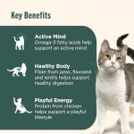 Nutrish Indoor Complete Premium Natural Dry Cat Food, Chicken with Lentils & Salmon Recipe, 14 Pounds (Packaging May Vary)