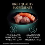 Sheba Perfect Portions Kitten Wet Cat Food Pate Chicken Entree, Salmon Entree, and Turkey Entree, 2.6 oz. Twin-Pack Trays (24 Count, 48 Servings)