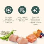 Nutrish Indoor Complete Premium Natural Dry Cat Food, Chicken with Lentils & Salmon Recipe, 14 Pounds (Packaging May Vary)