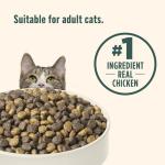 Nutrish Indoor Complete Premium Natural Dry Cat Food, Chicken with Lentils & Salmon Recipe, 14 Pounds (Packaging May Vary)