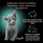 Sheba Perfect Portions Kitten Wet Cat Food Pate Chicken Entree, Salmon Entree, and Turkey Entree, 2.6 oz. Twin-Pack Trays (24 Count, 48 Servings)