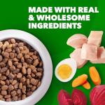 IAMS Proactive Health Minichunks Adult Dry Dog Food with Real Chicken, 30 lb. Bag