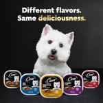 Cesar Wet Dog Food Classic Loaf in Sauce Beef Recipe, Filet Mignon, Grilled Chicken and Porterhouse Steak Variety Pack, 3.5 oz. Easy Peel Trays (24 Count, Pack of 1)