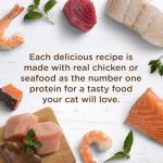 Nutrish Rachael Ray Natural Wet Cat Food, Chicken Lovers Variety Pack, 2.8 Ounce Cup (Pack of 12), Grain Free