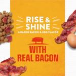Purina Moist and Meaty Rise and Shine Awaken Bacon and Egg Flavor Soft Dog Food Pouches - 36 ct. Box