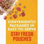 Purina Moist and Meaty Rise and Shine Awaken Bacon and Egg Flavor Soft Dog Food Pouches - 36 ct. Box