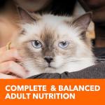 IAMS Proactive Health Adult Healthy Dry Cat Food with Chicken, 7 lb. Bag