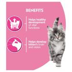PURINA ONE Kitten Mini Fillets Salmon and Chicken Wet Cat Food 8x85g (Pack of 5)