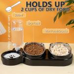 3-in-1 Cat Food and Water Bowl Set, Tilted Stainless Steel Bowls with Stand, Double Food Bowls with Water Dispenser, Pet Feeding Station for Cats Small Dogs, Black