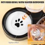3-in-1 Cat Food and Water Bowl Set, Tilted Stainless Steel Bowls with Stand, Double Food Bowls with Water Dispenser, Pet Feeding Station for Cats Small Dogs, Black