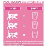 PURINA ONE Kitten Mini Fillets Salmon and Chicken Wet Cat Food 8x85g (Pack of 5)