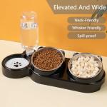 3-in-1 Cat Food and Water Bowl Set, Tilted Stainless Steel Bowls with Stand, Double Food Bowls with Water Dispenser, Pet Feeding Station for Cats Small Dogs, Black