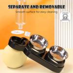 3-in-1 Cat Food and Water Bowl Set, Tilted Stainless Steel Bowls with Stand, Double Food Bowls with Water Dispenser, Pet Feeding Station for Cats Small Dogs, Black