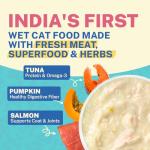 Smylo Natural Healthy Adult Cat Wet Food (1+ Yrs) 70g | Tuna, Salmon, & Pumpkin | for Healthy Skin & Coat, Supports Digestion | Grain Free, No Preservatives or by-Products | Vet-Formulated