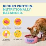 Smylo Natural Healthy Adult Cat Wet Food (1+ Yrs) 70g | Tuna, Salmon, & Pumpkin | for Healthy Skin & Coat, Supports Digestion | Grain Free, No Preservatives or by-Products | Vet-Formulated