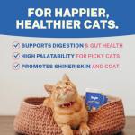 Smylo Natural Healthy Adult Cat Wet Food (1+ Yrs) 70g | Chicken, Tuna & Rosemary | for Healthy Skin & Coat, Supports Digestion | No Preservatives & Grain Free | Vet-Formulated