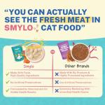 Smylo Natural Healthy Adult Cat Wet Food (1+ Yrs) 70g | Tuna, Salmon, & Pumpkin | for Healthy Skin & Coat, Supports Digestion | Grain Free, No Preservatives or by-Products | Vet-Formulated