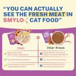 Smylo Natural Healthy Adult Cat Wet Food (1+ Yrs) 70g | Chicken, Liver & Pomegranate | for Healthy Skin & Coat, Supports Digestion | No Preservatives & Grain Free | Vet-Formulated