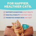 Smylo Natural Healthy Adult Cat Wet Food (1+ Yrs) 70g | Tuna, Salmon, & Pumpkin | for Healthy Skin & Coat, Supports Digestion | Grain Free, No Preservatives or by-Products | Vet-Formulated