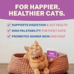 Smylo Natural Healthy Adult Cat Wet Food (1+ Yrs) 70g | Chicken, Liver & Pomegranate | for Healthy Skin & Coat, Supports Digestion | No Preservatives & Grain Free | Vet-Formulated