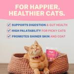 Smylo Natural Healthy Adult Cat Wet Food (1+ yrs) 70g | Mackerel, Kanikama & Cranberry | for Healthy Skin & Coat, Supports Digestion | No Preservatives & Grain Free | Vet-Formulated