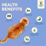 Smylo Natural Healthy Adult Cat Wet Food (1+ Yrs) 70g | Chicken, Tuna & Rosemary | for Healthy Skin & Coat, Supports Digestion | No Preservatives & Grain Free | Vet-Formulated