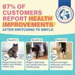 Smylo Natural Healthy Adult Cat Wet Food (1+ Yrs) 70g | Tuna, Salmon, & Pumpkin | for Healthy Skin & Coat, Supports Digestion | Grain Free, No Preservatives or by-Products | Vet-Formulated