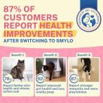 Smylo Natural Healthy Adult Cat Wet Food (1+ yrs) 70g | Mackerel, Kanikama & Cranberry | for Healthy Skin & Coat, Supports Digestion | No Preservatives & Grain Free | Vet-Formulated