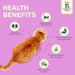 Smylo Natural Healthy Adult Cat Wet Food (1+ Yrs) 70g | Chicken, Liver & Pomegranate | for Healthy Skin & Coat, Supports Digestion | No Preservatives & Grain Free | Vet-Formulated