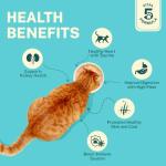 Smylo Natural Healthy Adult Cat Wet Food (1+ Yrs) 70g | Tuna, Salmon, & Pumpkin | for Healthy Skin & Coat, Supports Digestion | Grain Free, No Preservatives or by-Products | Vet-Formulated