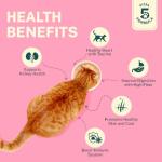 Smylo Natural Healthy Adult Cat Wet Food (1+ yrs) 70g | Mackerel, Kanikama & Cranberry | for Healthy Skin & Coat, Supports Digestion | No Preservatives & Grain Free | Vet-Formulated