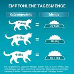 PURINA ONE BIFENSIS Adult Katzenfutter trocken, reich an Lachs, 6er Pack (6 x 750g)