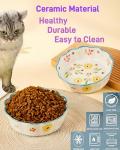 Premium Cat Food Bowl Set of 2, 6' Ceramic Cat Bowls, Cute Shallow Weighted Dishes for Wet Food, Whisker Fatigue Kitten Bowls Large Capacity (Blue)