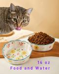 Premium Cat Food Bowl Set of 2, 6' Ceramic Cat Bowls, Cute Shallow Weighted Dishes for Wet Food, Whisker Fatigue Kitten Bowls Large Capacity (Blue)