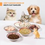 Ceramic Cat Bowls for Indoor Cats & Kittens, Whisker Friendly 5.5 Inch Shallow Plates, Set of 6 Cute Pet Feeding Dishes for Wet Dry Food and Water