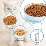 Howise 5.3 in Ceramic Cat Dishes - Shallow Food Bowls for Small Pets, 3 Pack for Food and Water - Blue