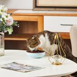 Howise 5.3 in Ceramic Cat Dishes - Shallow Food Bowls for Small Pets, 3 Pack for Food and Water - Blue
