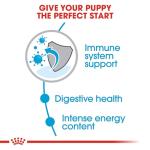 Royal Canin Size Health Nutrition Small Puppy Dry Dog Food, 4 lb Bag